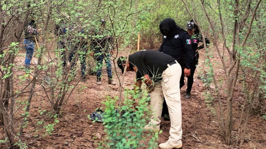 Rastreadoras de Ciudad Obregón hallan restos humanos semienterrados en predio de Cajeme