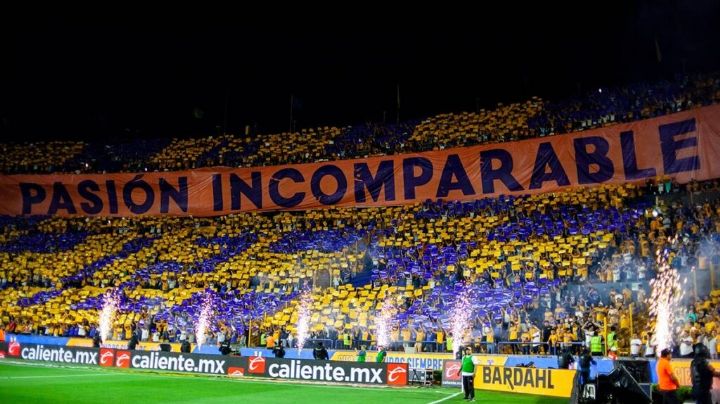 Tigres vs América EN VIVO: ¿Dónde ver la Jornada 3 de la Liga MX Online y TV abierta?