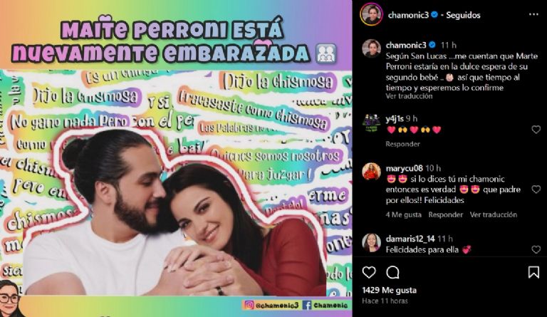 Maite Perroni estaría embarazada