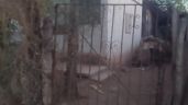 Foto ilustrativa de la nota titulada Al interior de una vivienda en Ciudad Obregón, Sonora, encuentran a 'abuelito' muerto