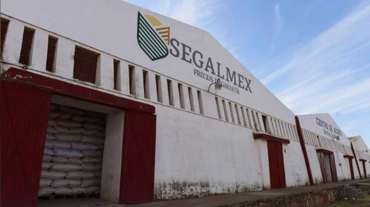 AMLO asegura que la corrupción en Segalmex es la única mancha de su Administración