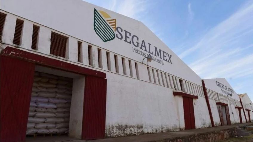 AMLO asegura que la corrupción en Segalmex es la única mancha de su Administración