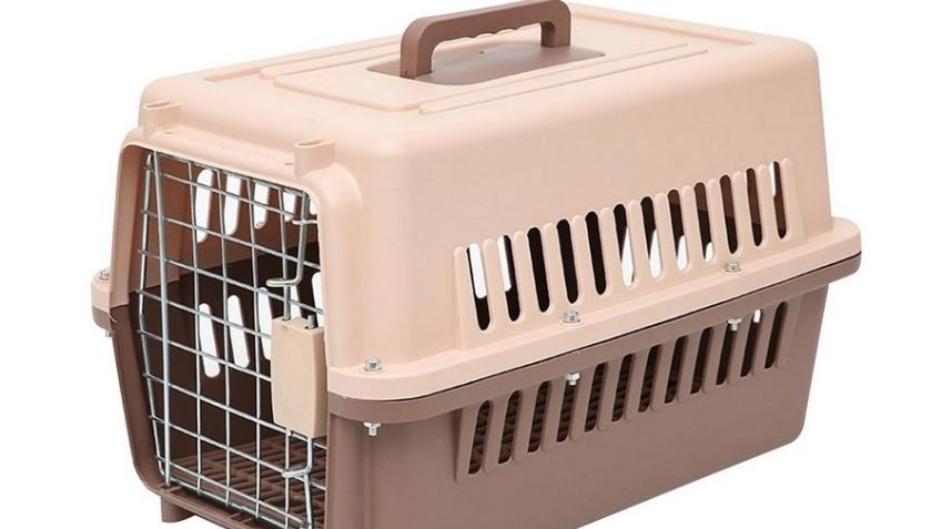 Sheila  encierra a su hija, de 12 años, en una jaula para perros; la dejó ahí por días en EU