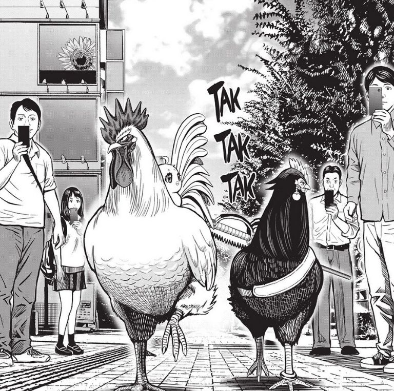 Confirman el estreno de Rooster Fighter