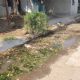Ciudad Obregón: Colonia Primero de Mayo sufre entre las aguas residuales