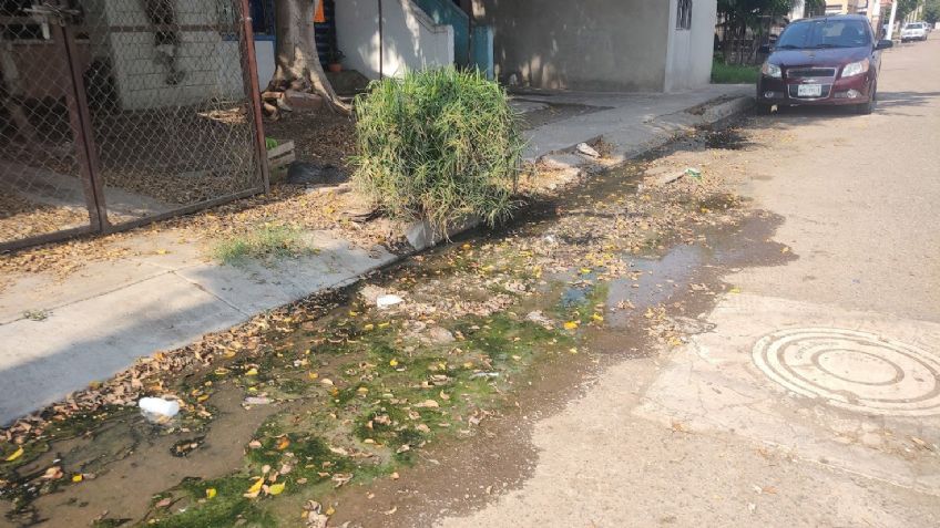 Ciudad Obregón: Colonia Primero de Mayo sufre entre las aguas residuales