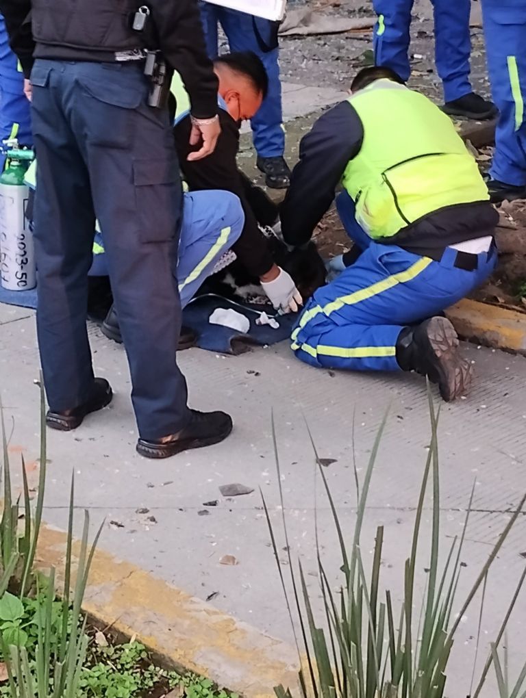 Explosión en Circuito Interior