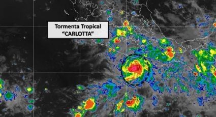 Estos son los estados que HOY estarán afectados por el ciclón Carlotta