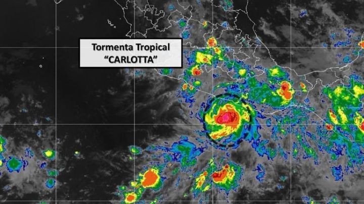 Estos son los estados que HOY estarán afectados por el ciclón Carlotta