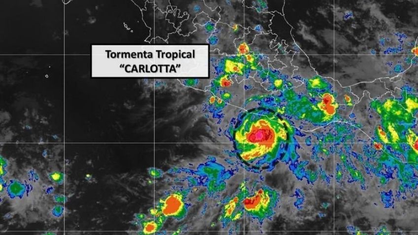 Estos son los estados que HOY estarán afectados por el ciclón Carlotta