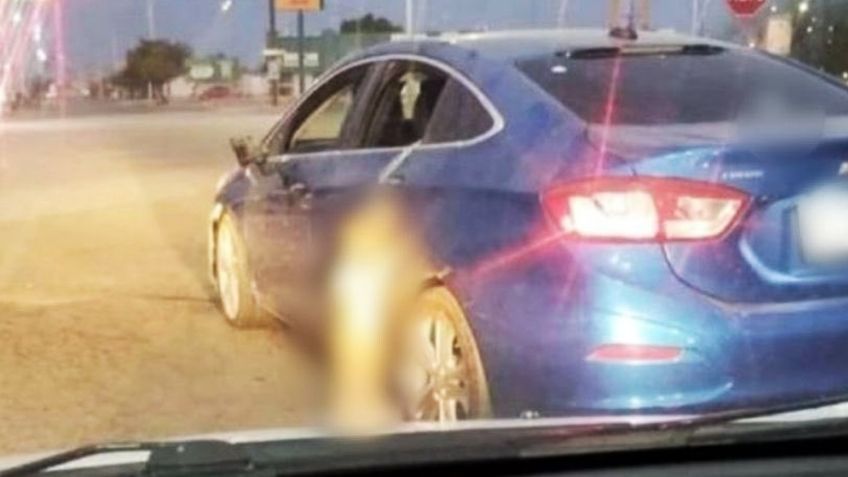 Fiscalía de Sonora investiga caso de perro colgado de auto en movimiento en Navojoa