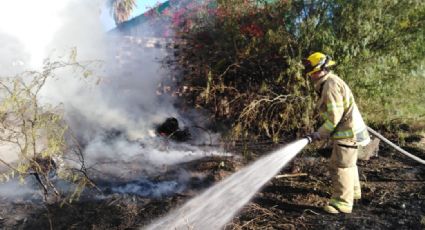 Incendios forestales bajan en la región Guaymas y Empalme durante el ‘calorón’