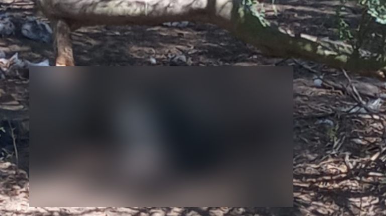 Hallan cuerpo en estado de descomposición en Hermosillo