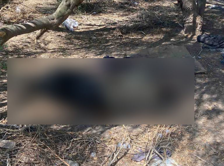 Hallan cuerpo en estado de descomposición en Hermosillo