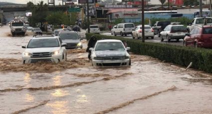 ¿A qué hora lloverá en Nogales? Descúbrelo con el reporte del clima de HOY 11 de agosto