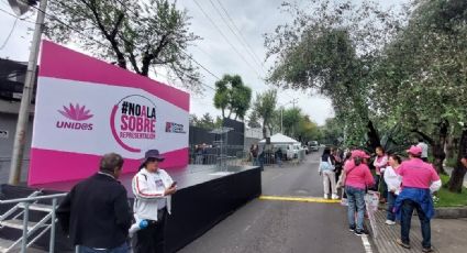 'Marea Rosa': Así fue la protesta contra la sobrerrepresentación de Morena en Cámaras