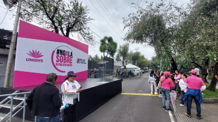 'Marea Rosa': Así fue la protesta contra la sobrerrepresentación de Morena en Cámaras