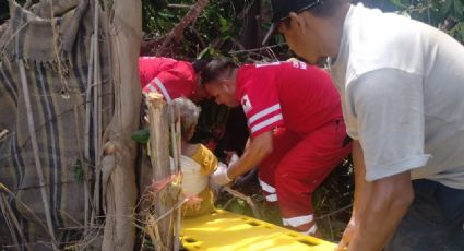 Árbol cae sobre una casa y lesiona a una abuelita en Etchojoa