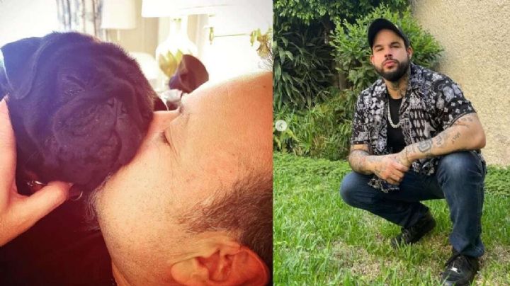 Pepe Aguilar enfrenta críticas por priorizar a su perro sobre su hijo mayor