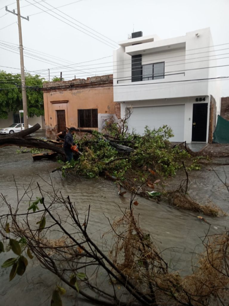 Clima en Culiacán hoy 15 de agosto