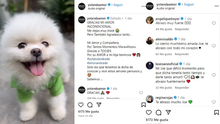 Fallece la perrita de Yolanda Andrade