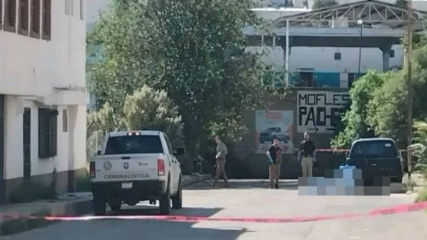 Ataque mortal: Pitbull mordió a una mujer hasta arrebatarle la vida en Chihuahua