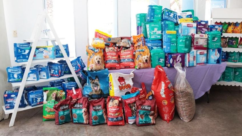 'Desayuno con Causa' beneficia a refugio canino y centro para adultos mayores en Guaymas