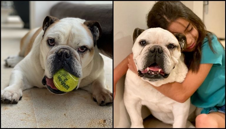 Alessandra Rosaldo sufre la muerte de Fiona