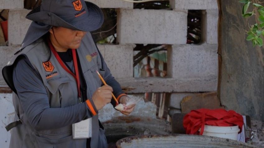 Municipios de la región del Mayo continúan libre de dengue