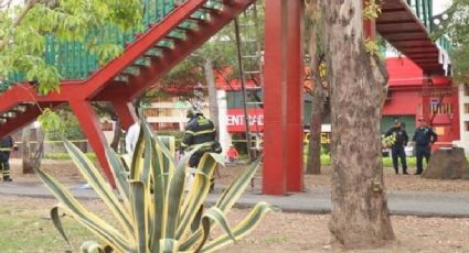 Macabro hallazgo: hombre se cuelga de portería en deportivo de Toluca, Edomex