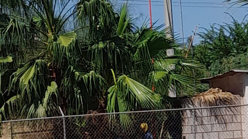 Habitantes de la comunidad de Pótam denuncian falta de servicio del agua potable