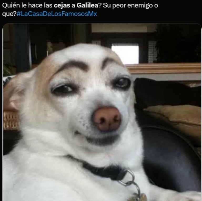 Meme en X acerca de las cejas de Galilea Montijo