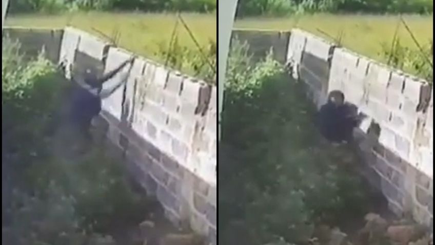 Ladrón intenta robar una casa pero es atacado por unos pitbulls, en República Dominicana