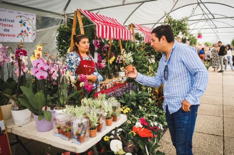 Festival de Flores de Verano 2024
