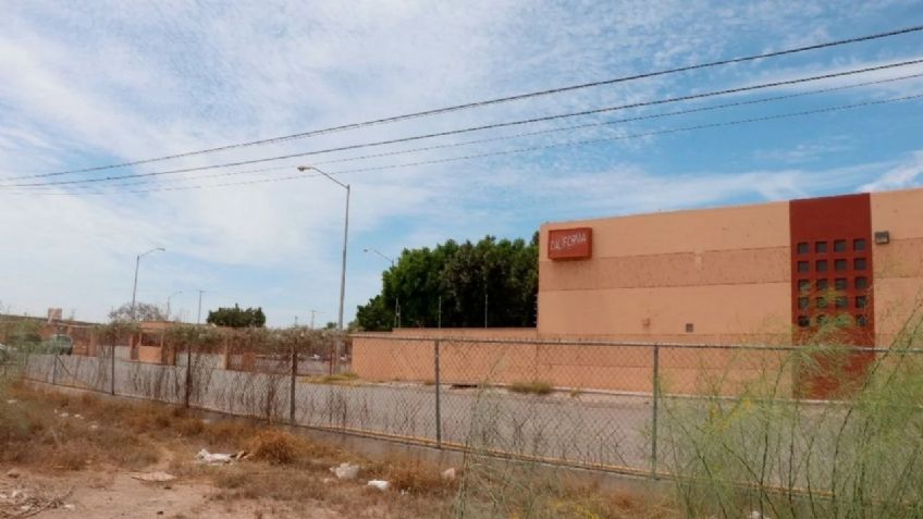 Inversión de empresa China llega a Cajeme en octubre; generará 600 empleos