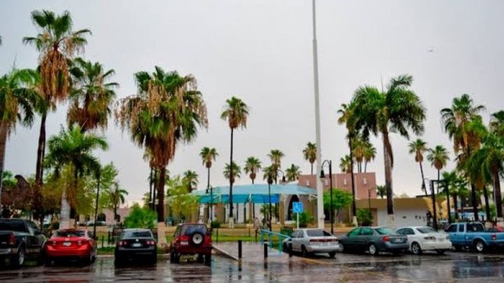 Lluvias reducen las afectaciones por sequía en la región del Mayo