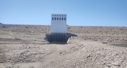 En riesgo el ciclo agrícola 2024-2025 en el Valle del Yaqui por falta de agua