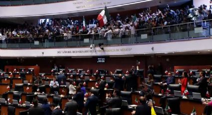 Suspenden sesión sobre la Reforma Judicial luego de que manifestantes irrumpieran en el Senado