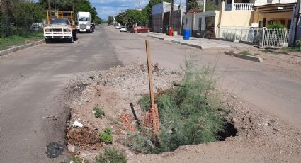 Zanjas olvidadas en el municipio de Navojoa, un riesgo para los conductores