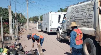 Colonia Guadalupana en 'focos rojos' por riesgo de dengue en Navojoa