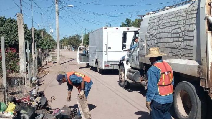 Colonia Guadalupana en 'focos rojos' por riesgo de dengue en Navojoa