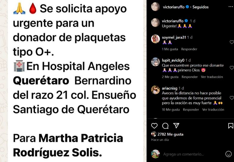 Victoria Ruffo suplica por ayuda en Instagram 