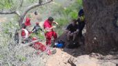 Foto ilustrativa de la nota titulada Joven estadounidense es rescatado del cerro Tetakawi en San Carlos; se había perdido