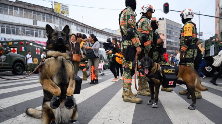 Desfile del 16 de septiembre de 2024: La última ceremonia patriótica presidida por AMLO
