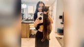 Foto ilustrativa de la nota titulada Karime Pindter, desesperada, anuncia 'secuestro' de su gato Norris y pide se lo regresen