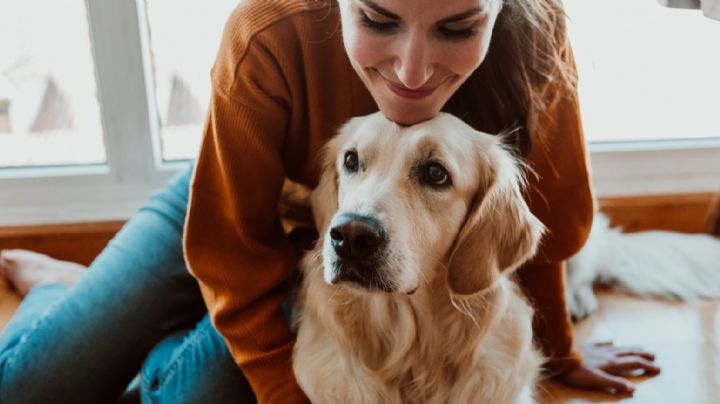 Sonora: Aprueban ley de Protección Animal; descubre las nuevas estipulaciones