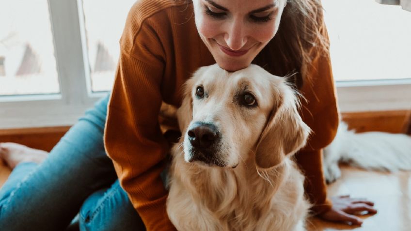 Sonora: Aprueban ley de Protección Animal; descubre las nuevas estipulaciones