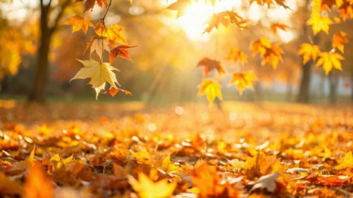 Conagua: Otoño en México inicia con nuevo Frente Frío, lluvias y granizadas