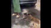 Foto ilustrativa de la nota titulada VIDEO: Vecinos en Tlaquepaque agarran a mujer que arrastró a perrito con su camioneta