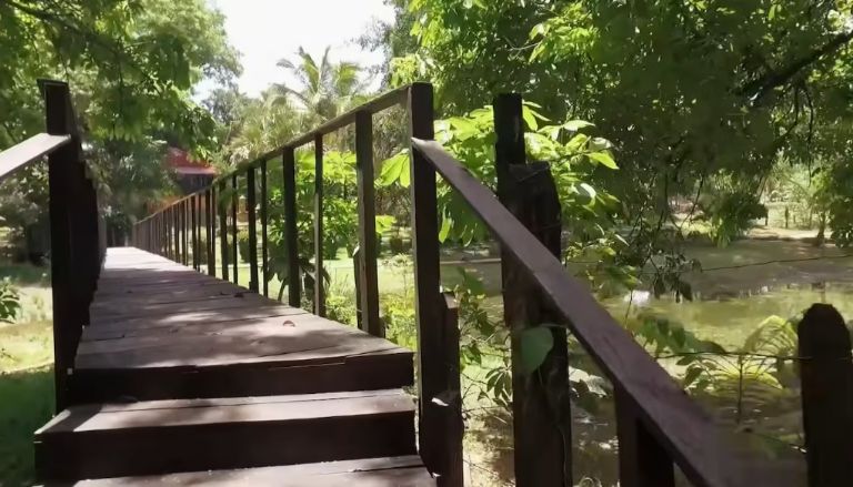 Cuenta con una pequeña laguna